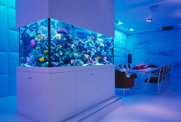房间3个水族箱装饰理念