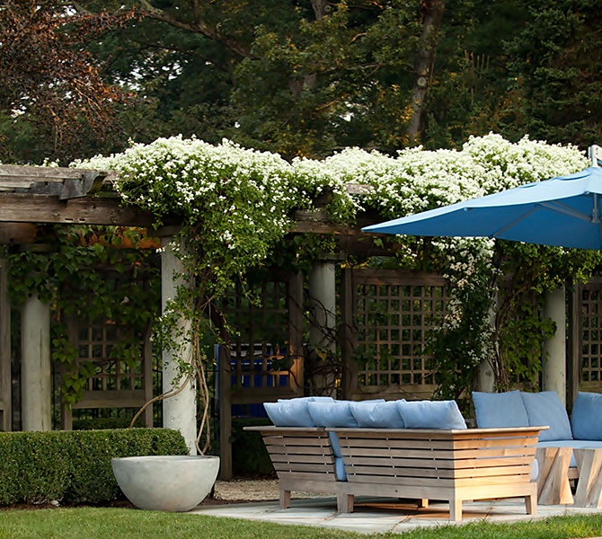 dream-pergola-9