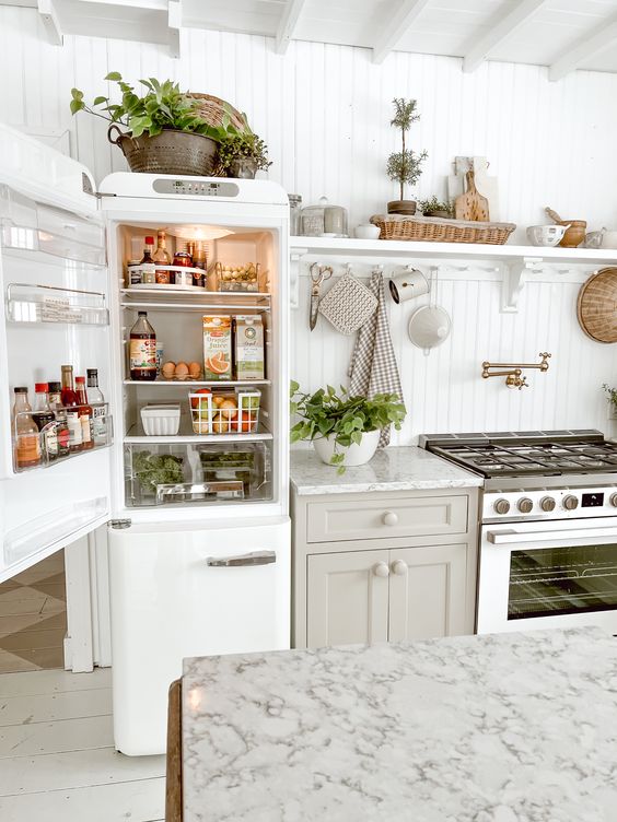 Refrigerator-Clean-and-Organized-2