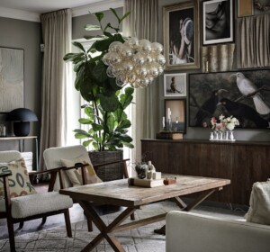 灰色生活室美色