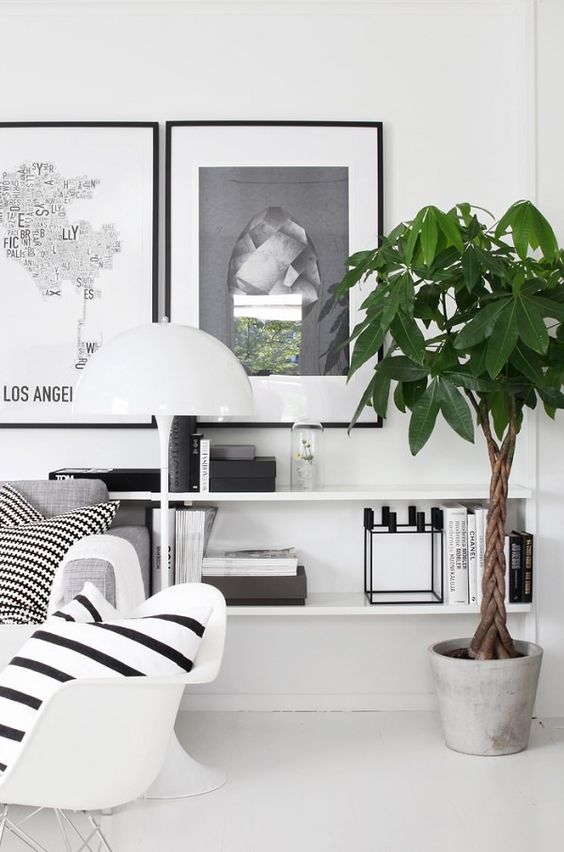 home-items-that-bring-luck-1