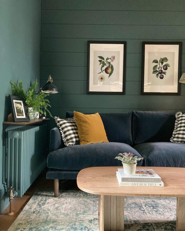 color-drenching-interiors-16