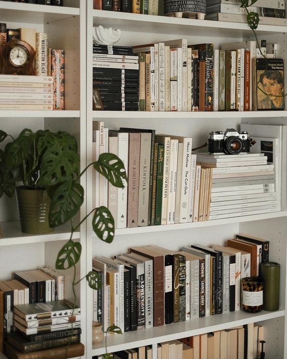 Bookshelf-Wealth-5